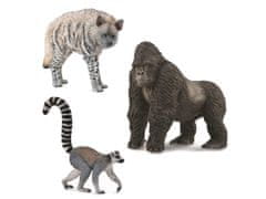 COLLECTA Collecta Figurky zvířat, divoká zvířata 3+ 
