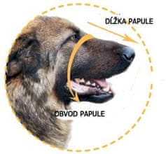 Dogextreme Kožený náhubek pro psa labrador